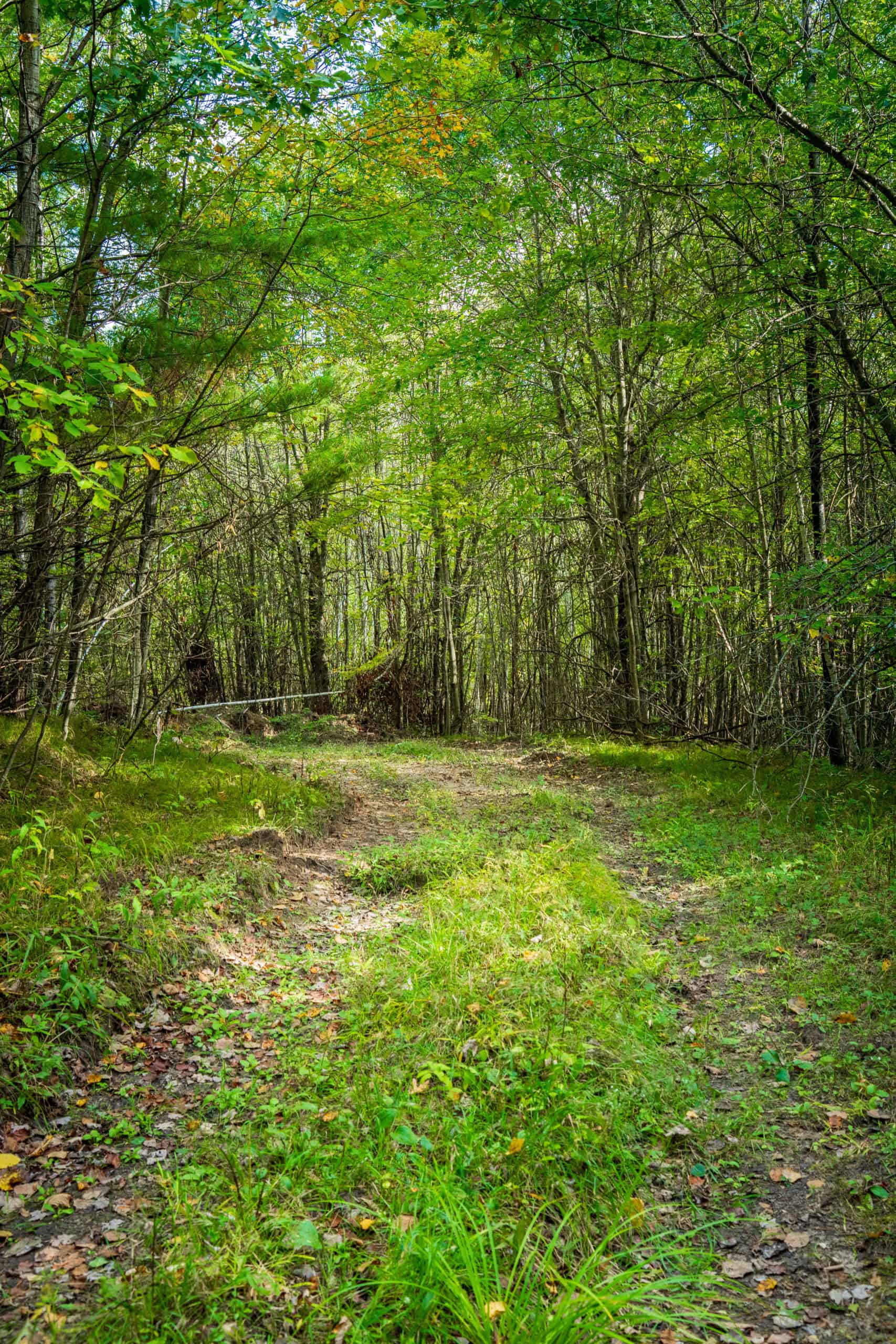 369± acres of premier recreational and hunting land in Eau Claire County