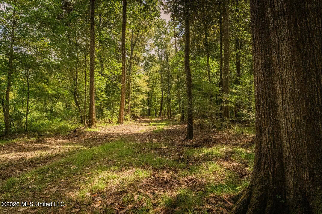900 Acres for Sale – Hunter’s Paradise South Mississippi