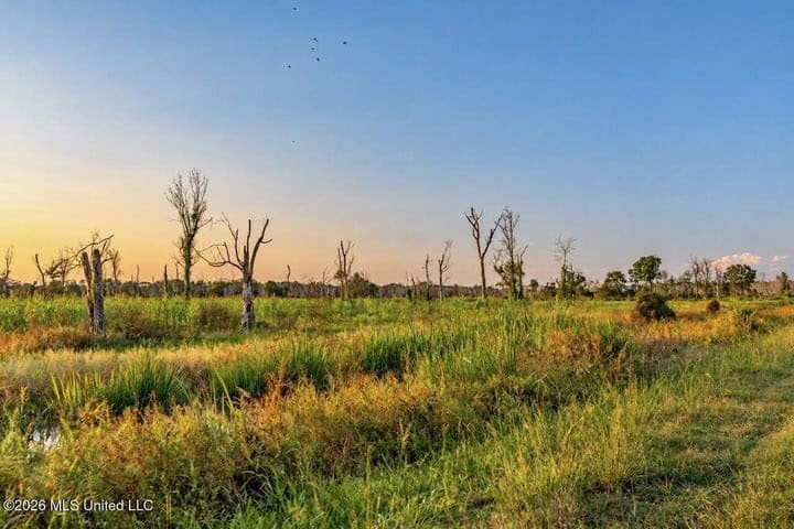1979± Acre Hunting Plantation in White Castle, LA
