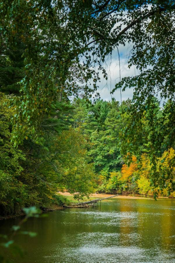 204.74± acres of premier recreational and hunting land in Eau Claire County