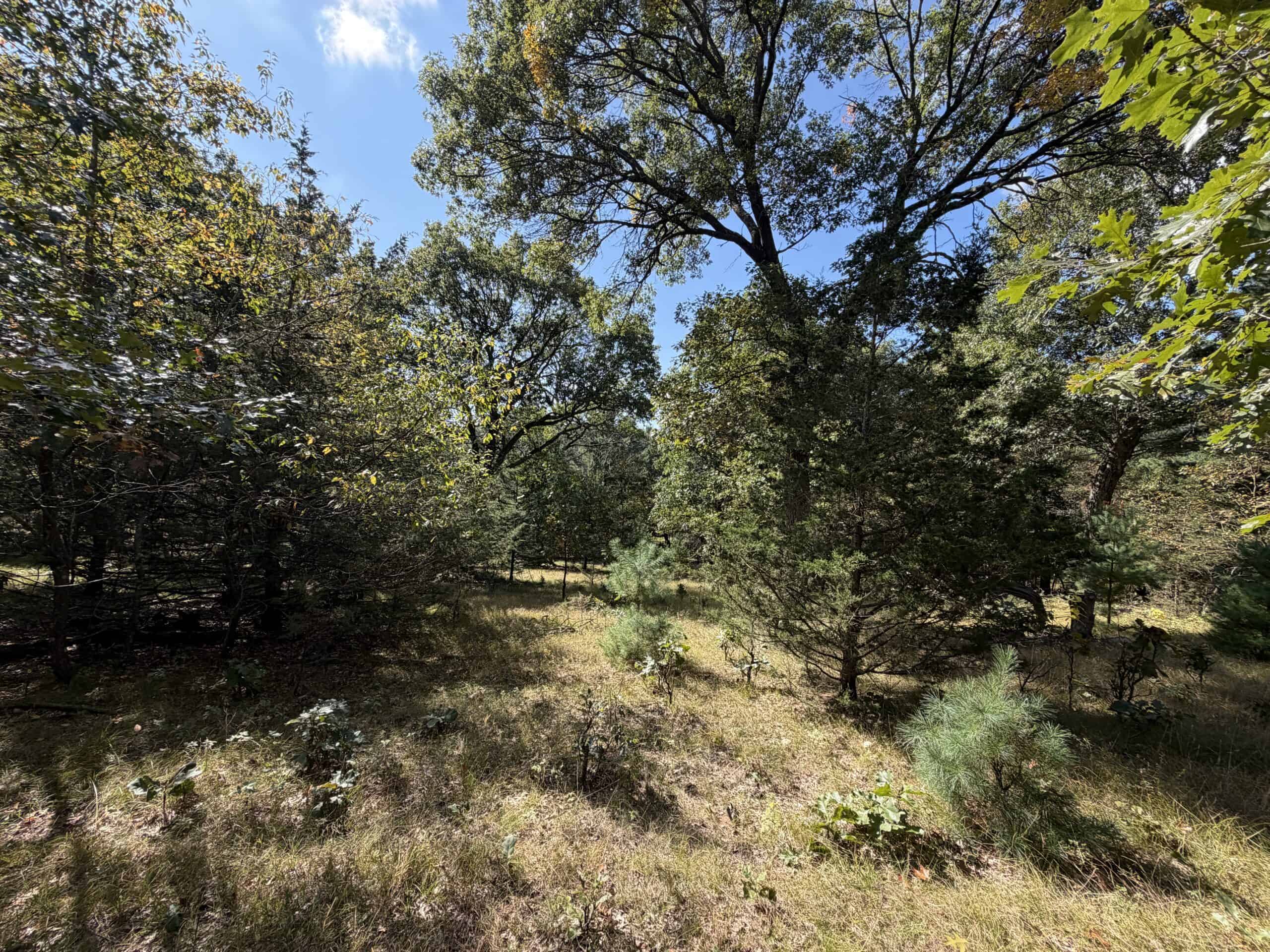 Buildable Hunting and Rec Property in Marquette County WI