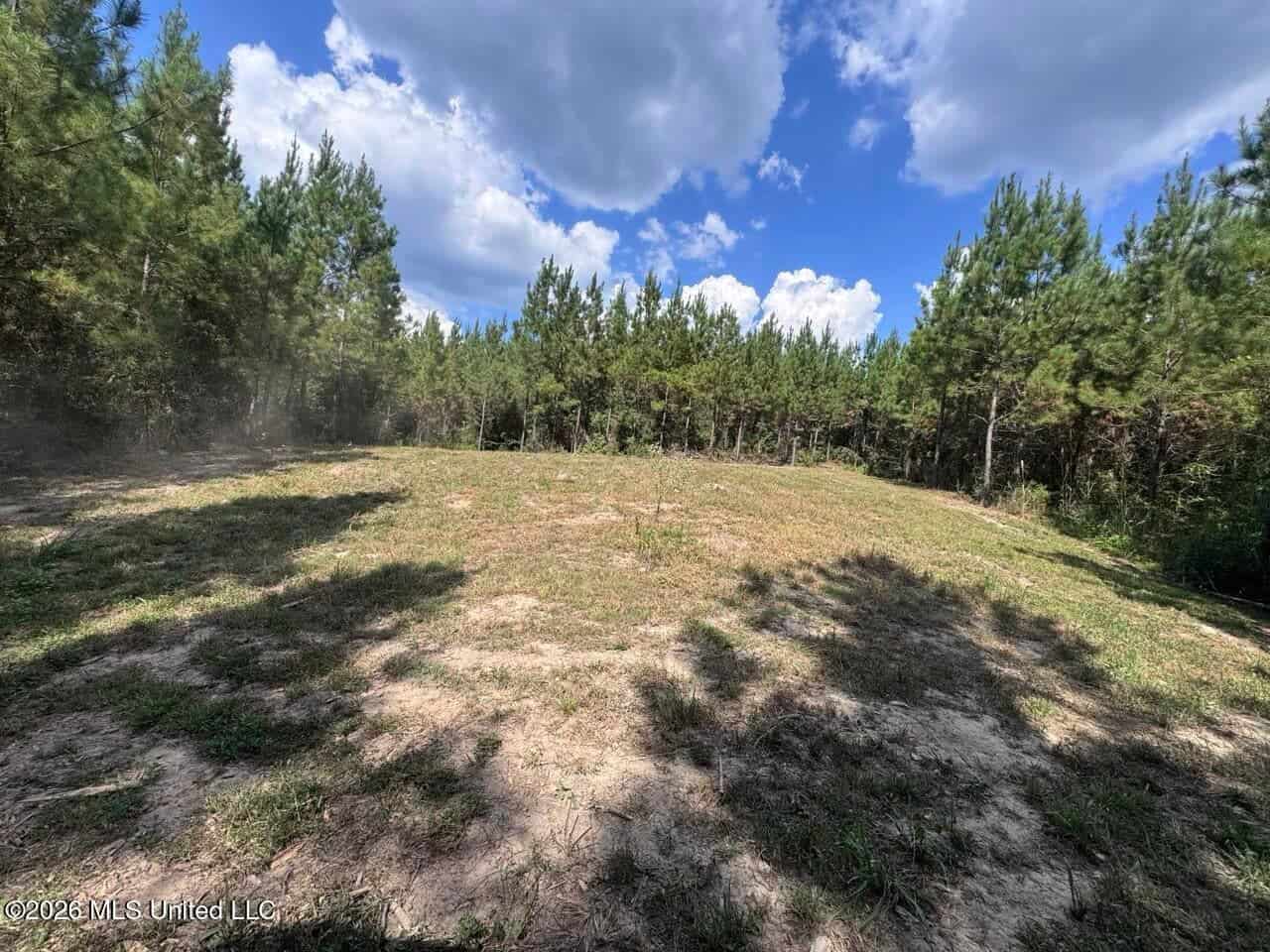 43± Acre Hunting Property in Amite County, MS
