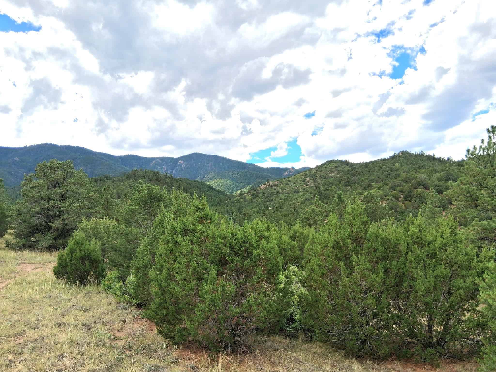 170.68 ± Acre Hunting Ranch by National Forest | Florence, CO