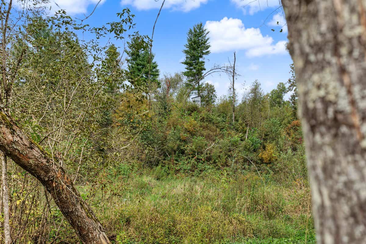 Turnkey 28± Acre Hunting Property Near Melrose, Wisconsin
