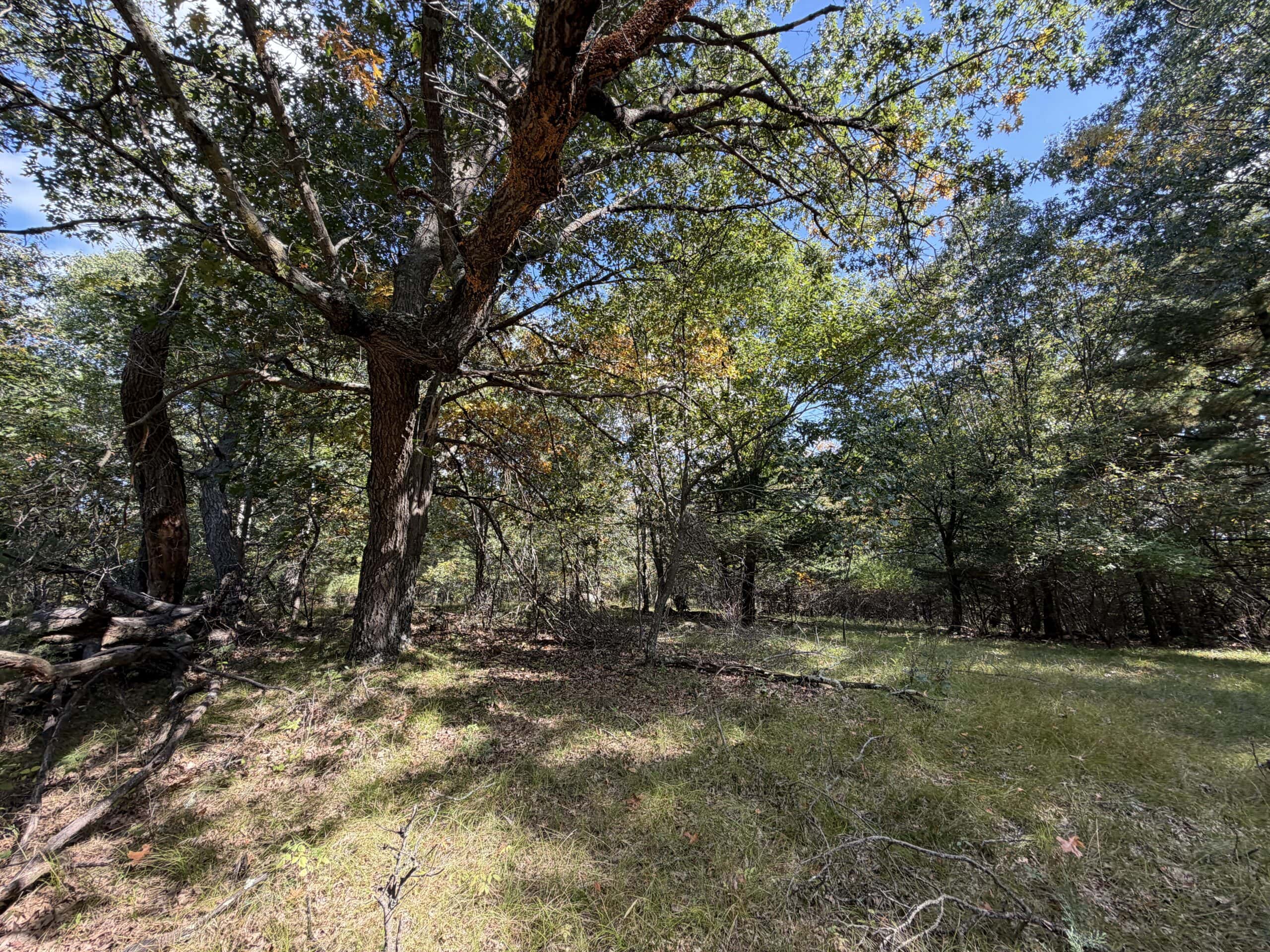 Buildable Hunting and Rec Property in Marquette County WI
