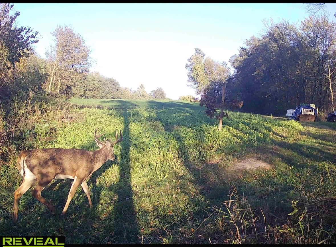 Turnkey 28± Acre Hunting Property Near Melrose, Wisconsin