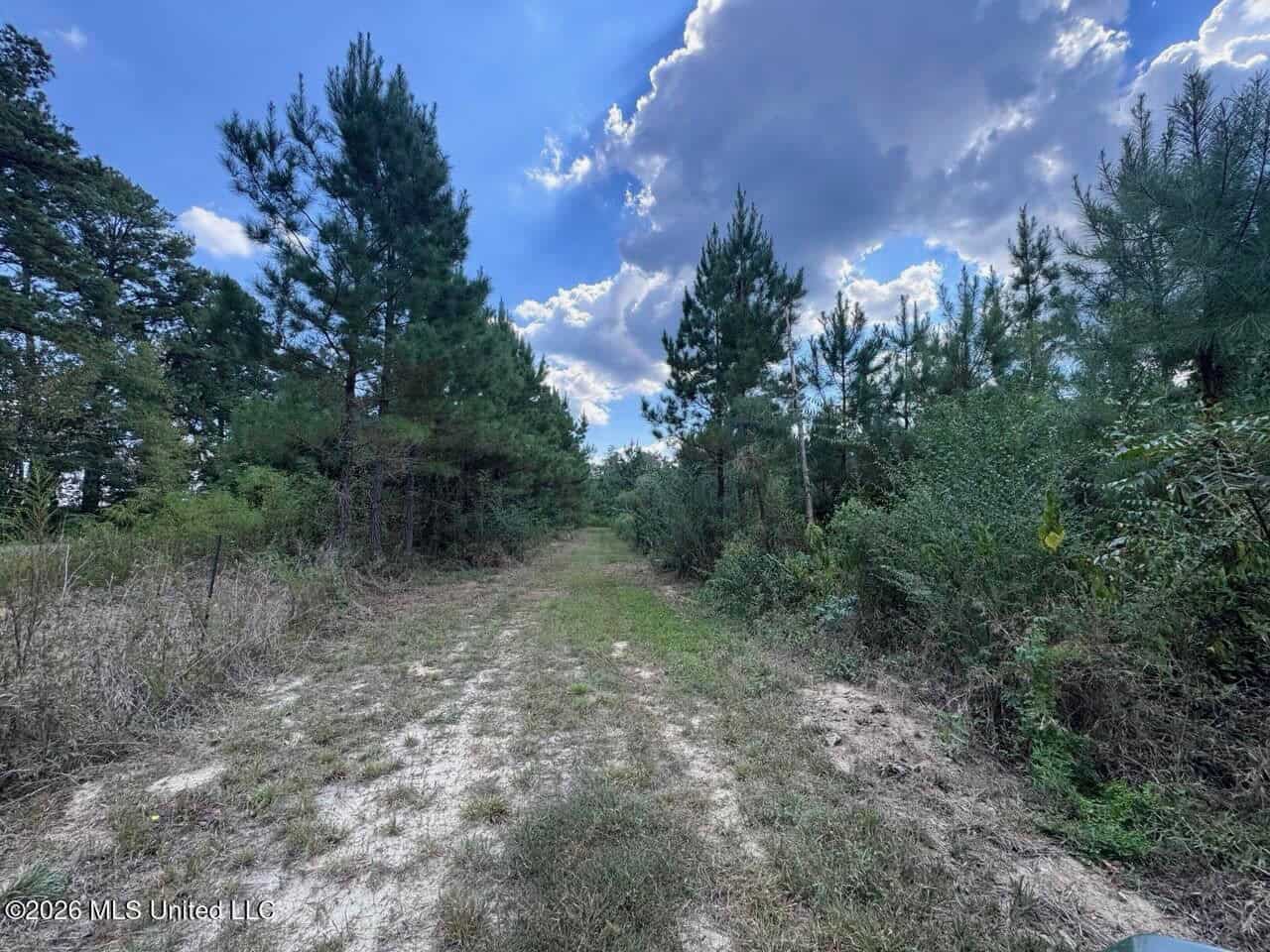 43± Acre Hunting Property in Amite County, MS