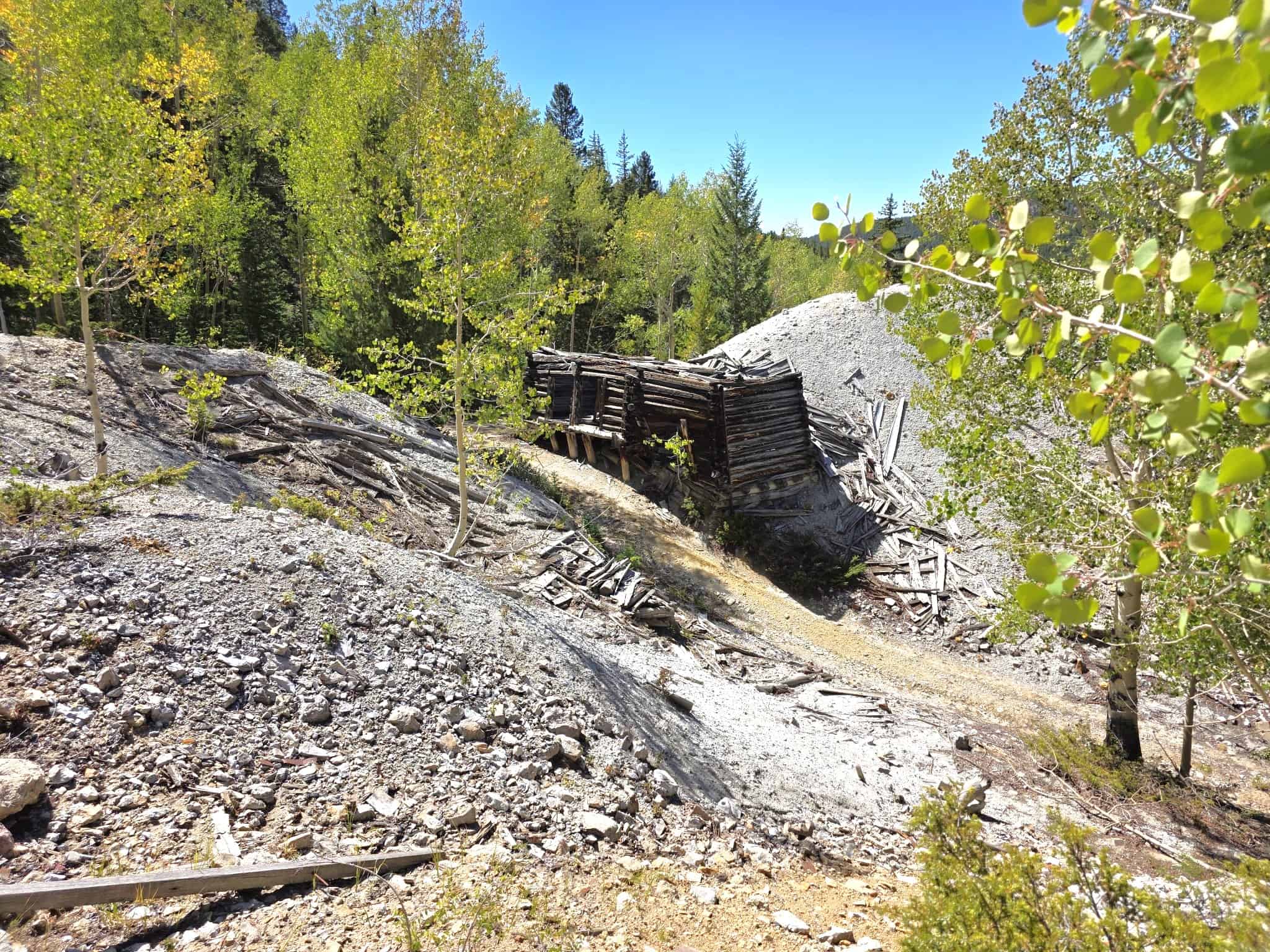 140 ± Acre Mountain Property for Sale in Whitepine, Colorado
