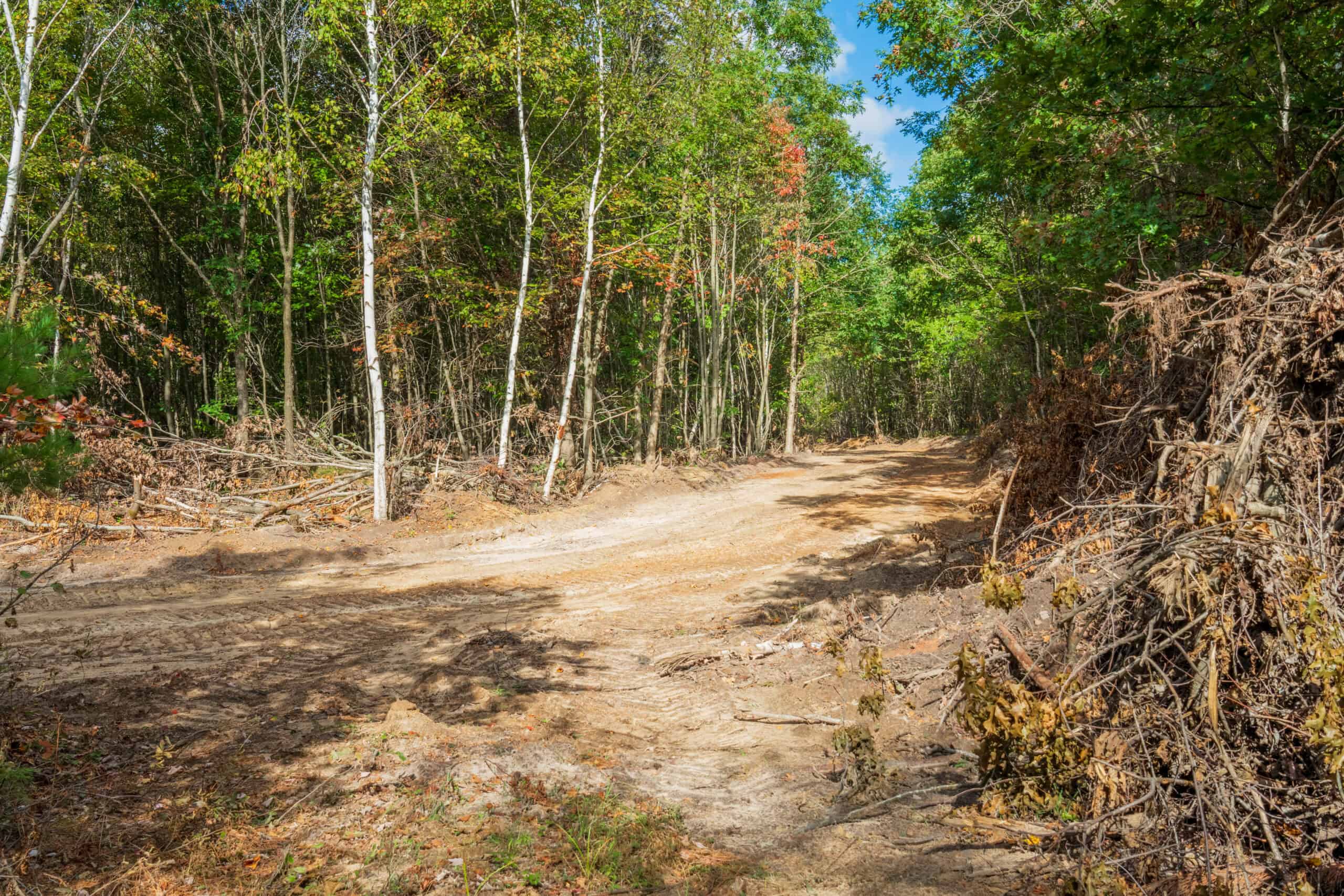 369± acres of premier recreational and hunting land in Eau Claire County