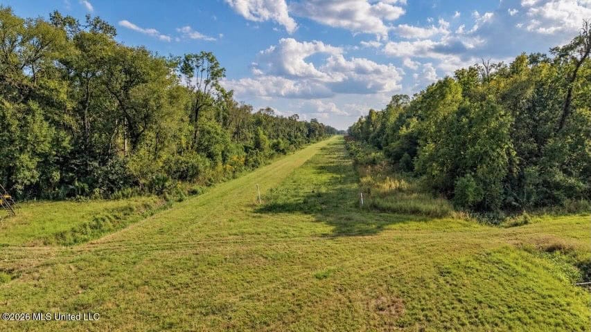1979± Acre Hunting Plantation in White Castle, LA