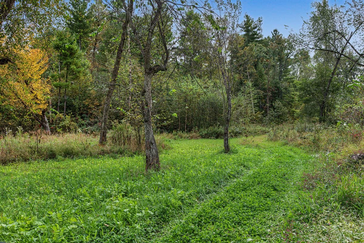 Turnkey 28± Acre Hunting Property Near Melrose, Wisconsin
