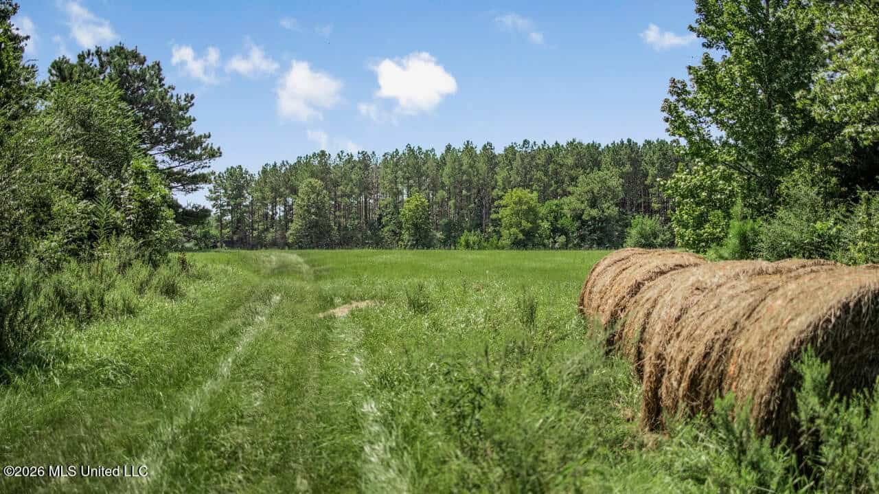 52± Acre Luxury Country Estate in Magnolia, MS