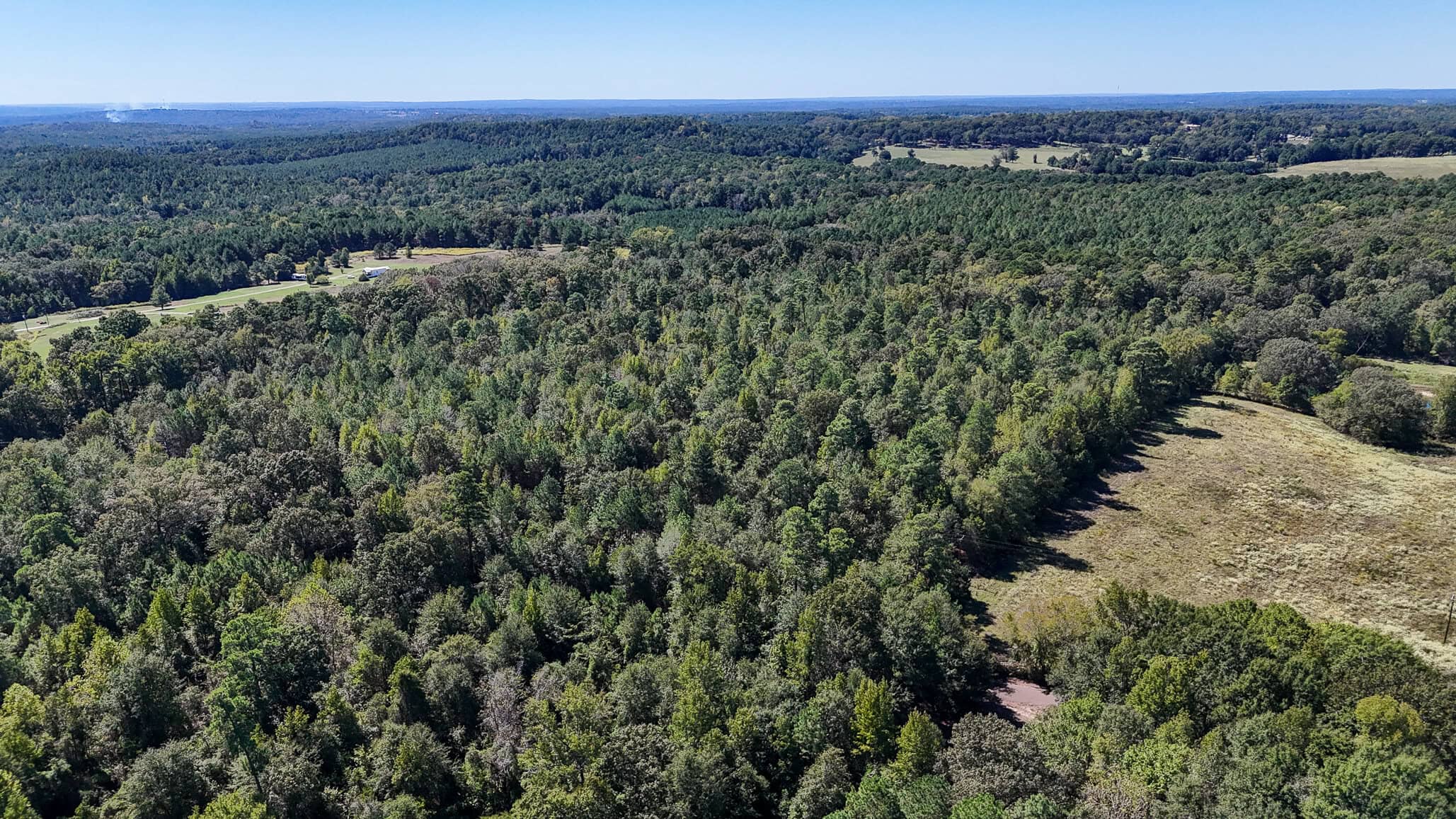 East Texas Recreational Land for Sale Gilmer TX Upshur County | Hunt & Timber