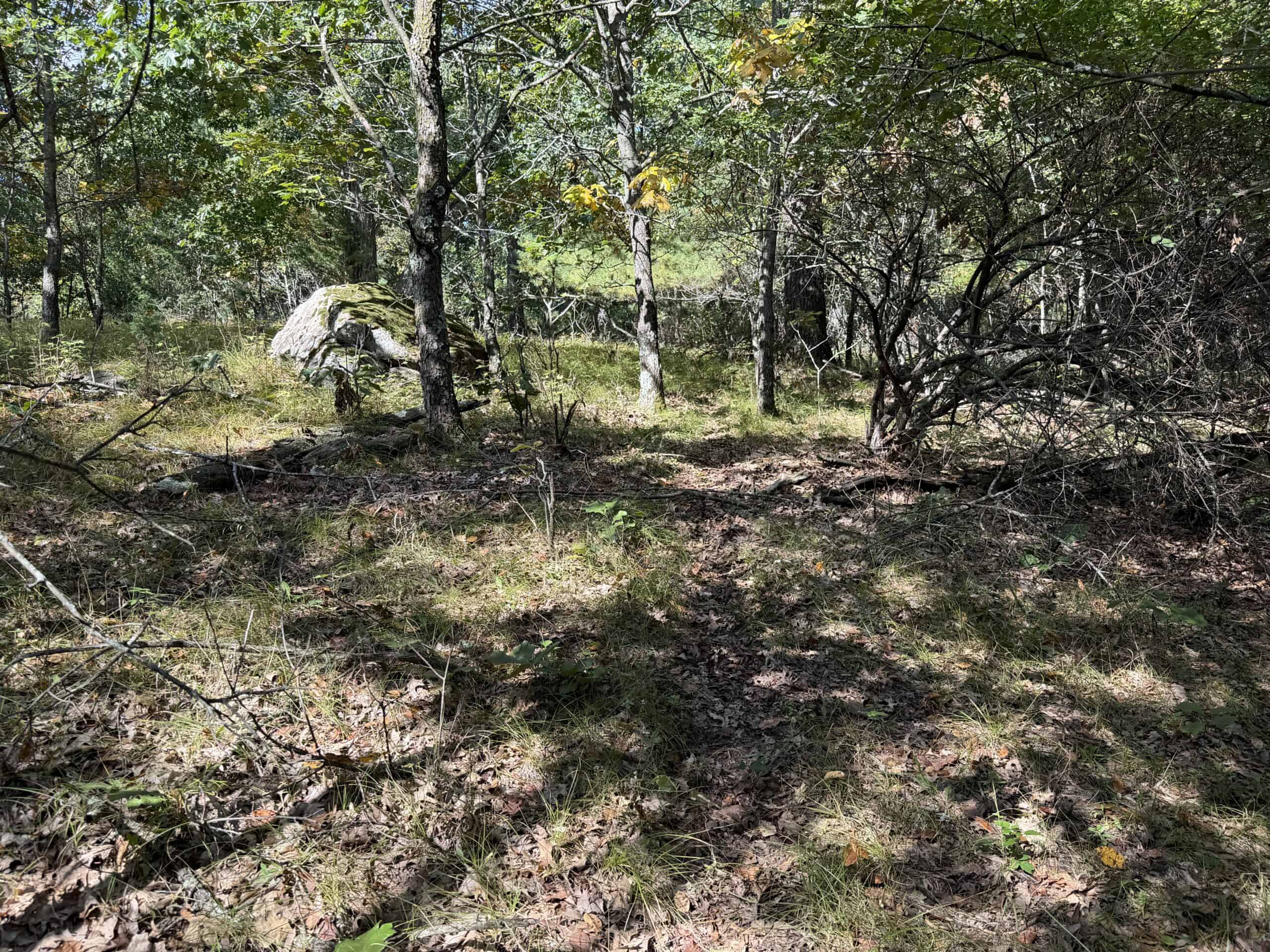 Buildable Hunting and Rec Property in Marquette County WI