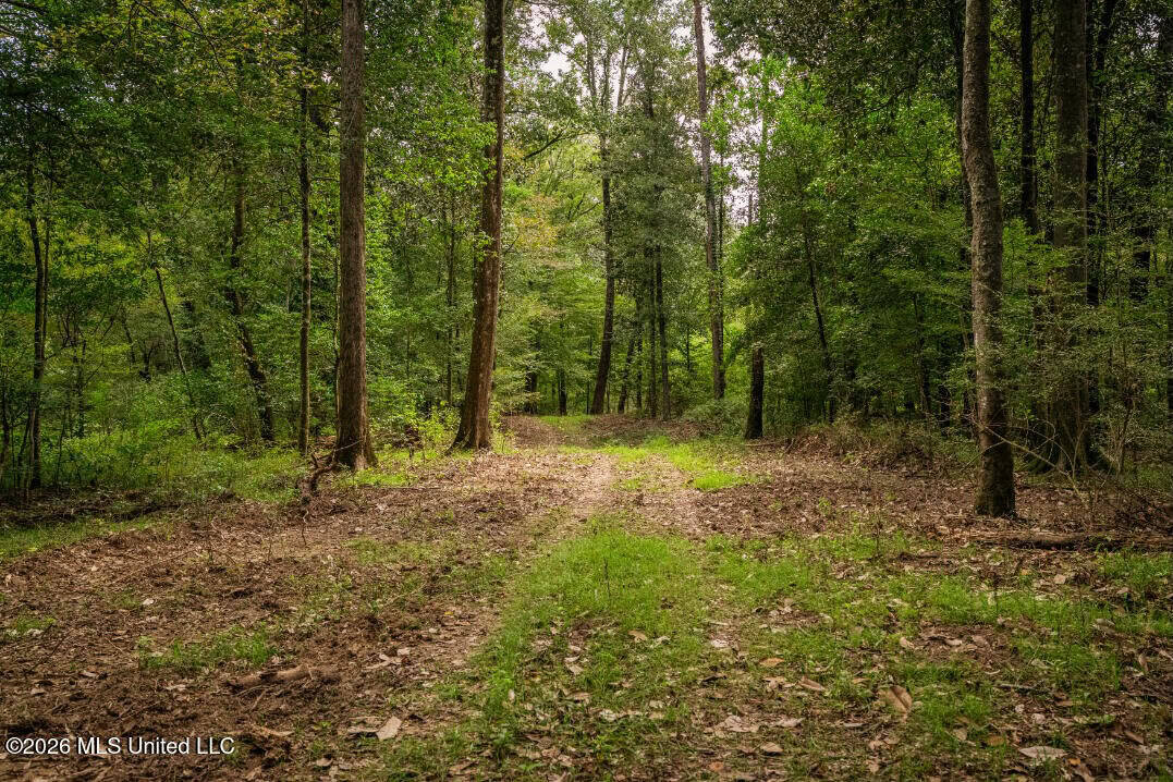 900 Acres for Sale – Hunter’s Paradise South Mississippi
