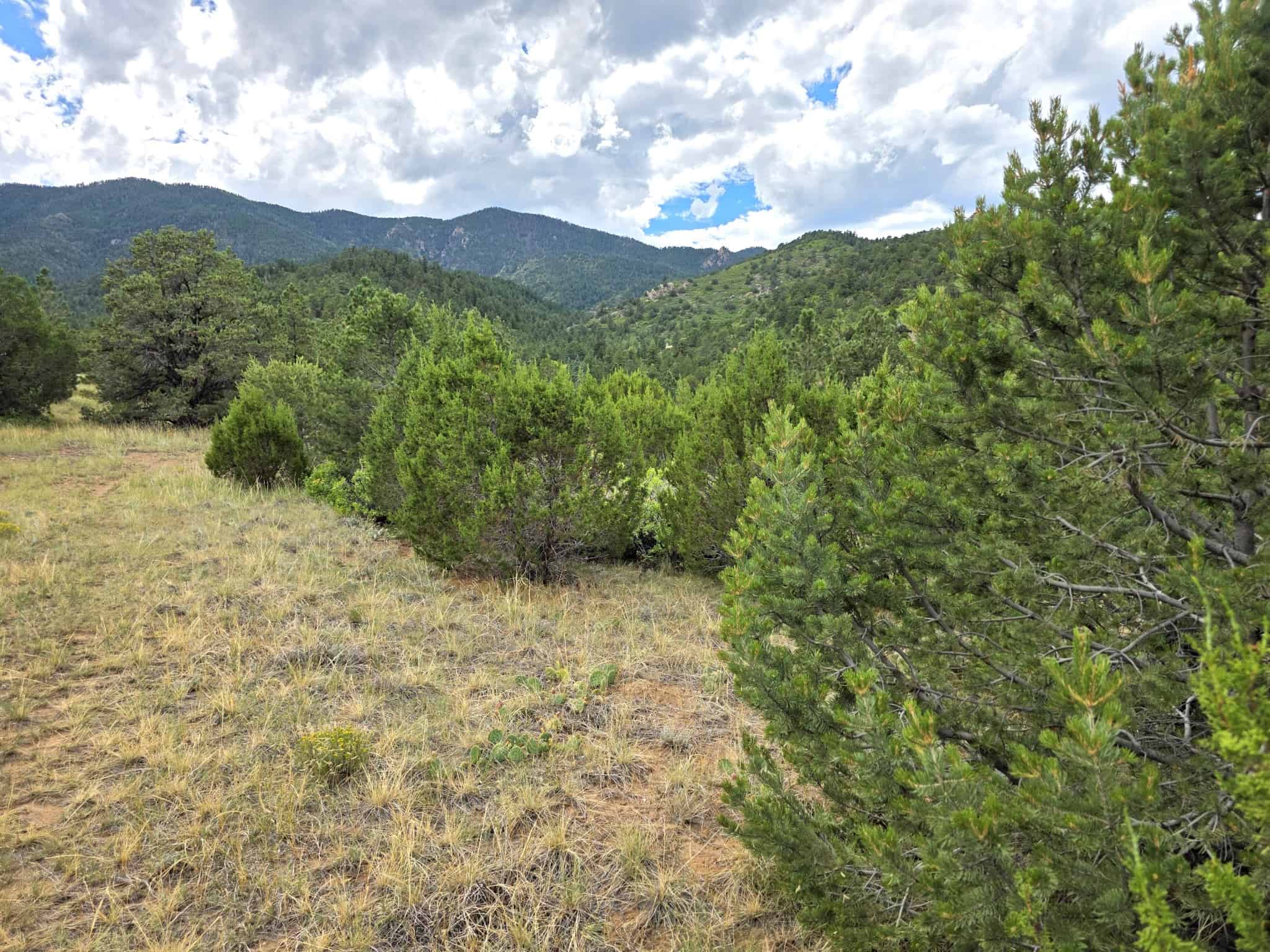 170.68 ± Acre Hunting Ranch by National Forest | Florence, CO