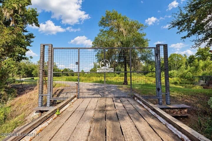 1979± Acre Hunting Plantation in White Castle, LA