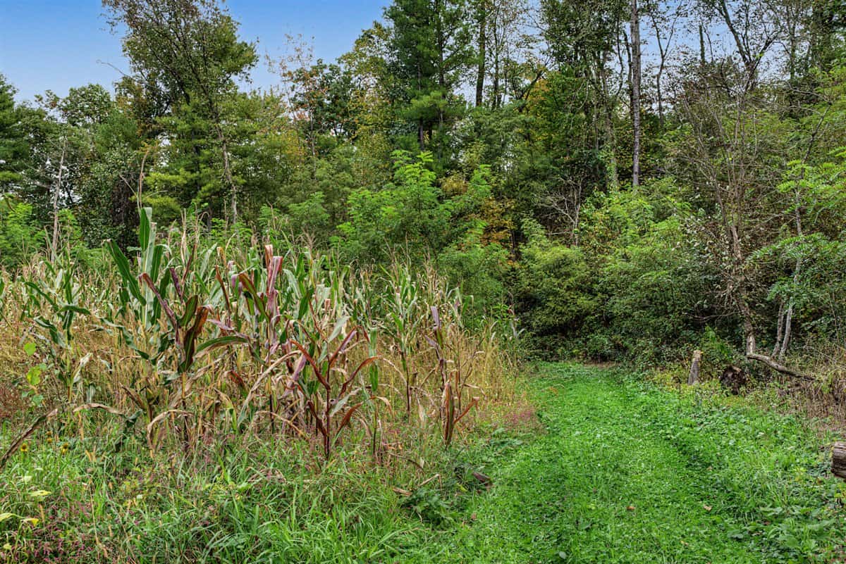 Turnkey 28± Acre Hunting Property Near Melrose, Wisconsin