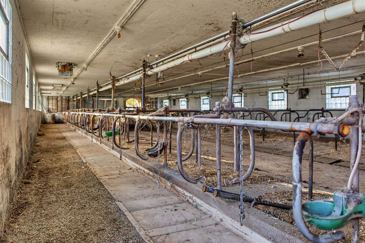 288± Acre Farm, Hunting & Black River Property | Melrose, Jackson County, WI