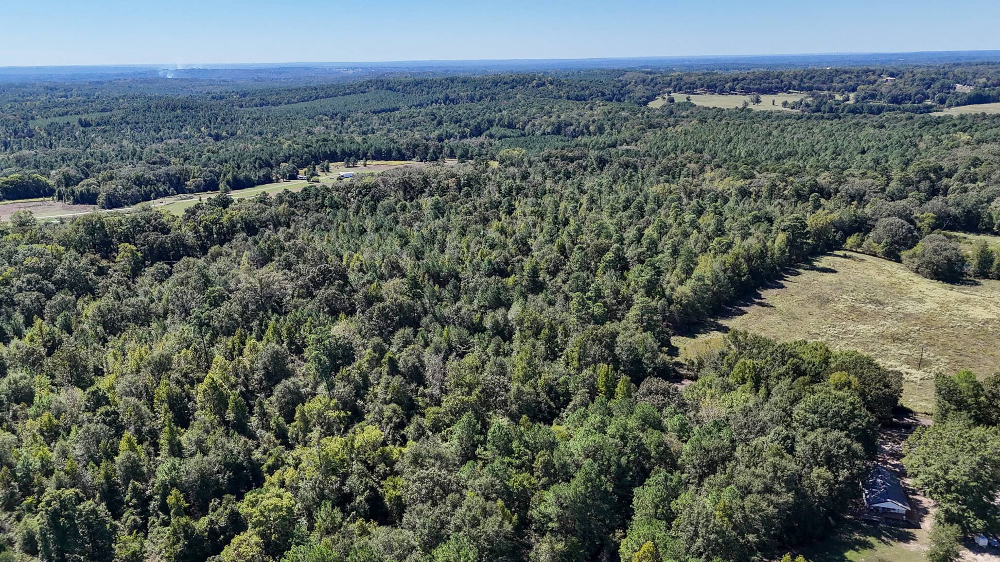 East Texas Recreational Land for Sale Gilmer TX Upshur County | Hunt & Timber