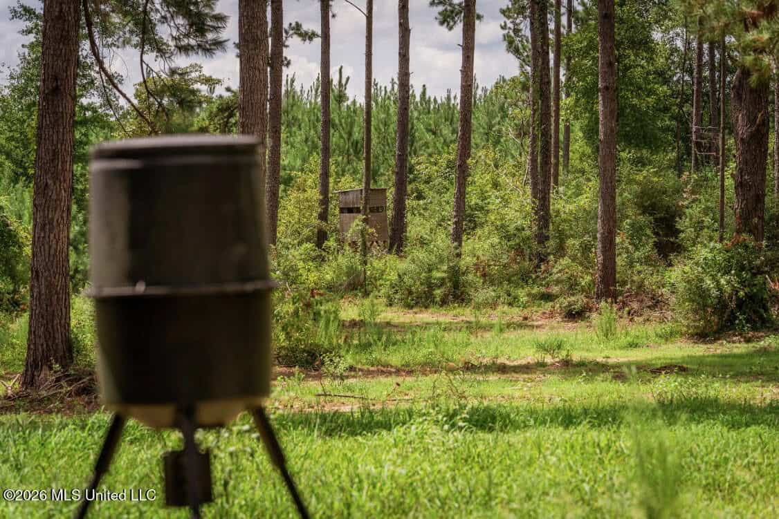 900 Acres for Sale – Hunter’s Paradise South Mississippi