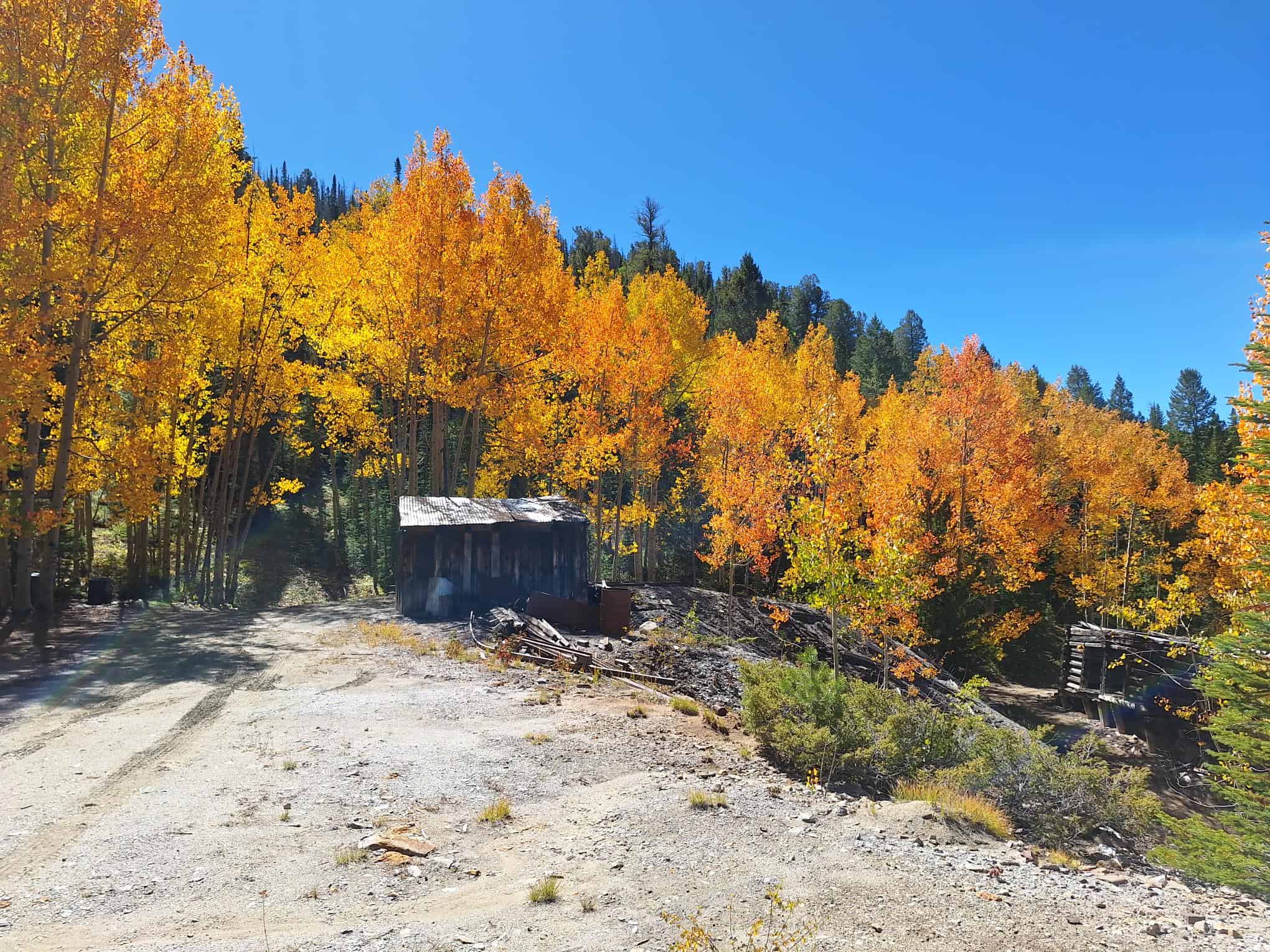 140 ± Acre Mountain Property for Sale in Whitepine, Colorado