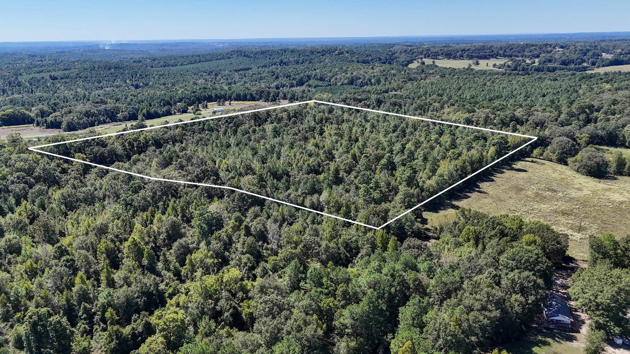 East Texas Recreational Land for Sale Gilmer TX Upshur County | Hunt & Timber