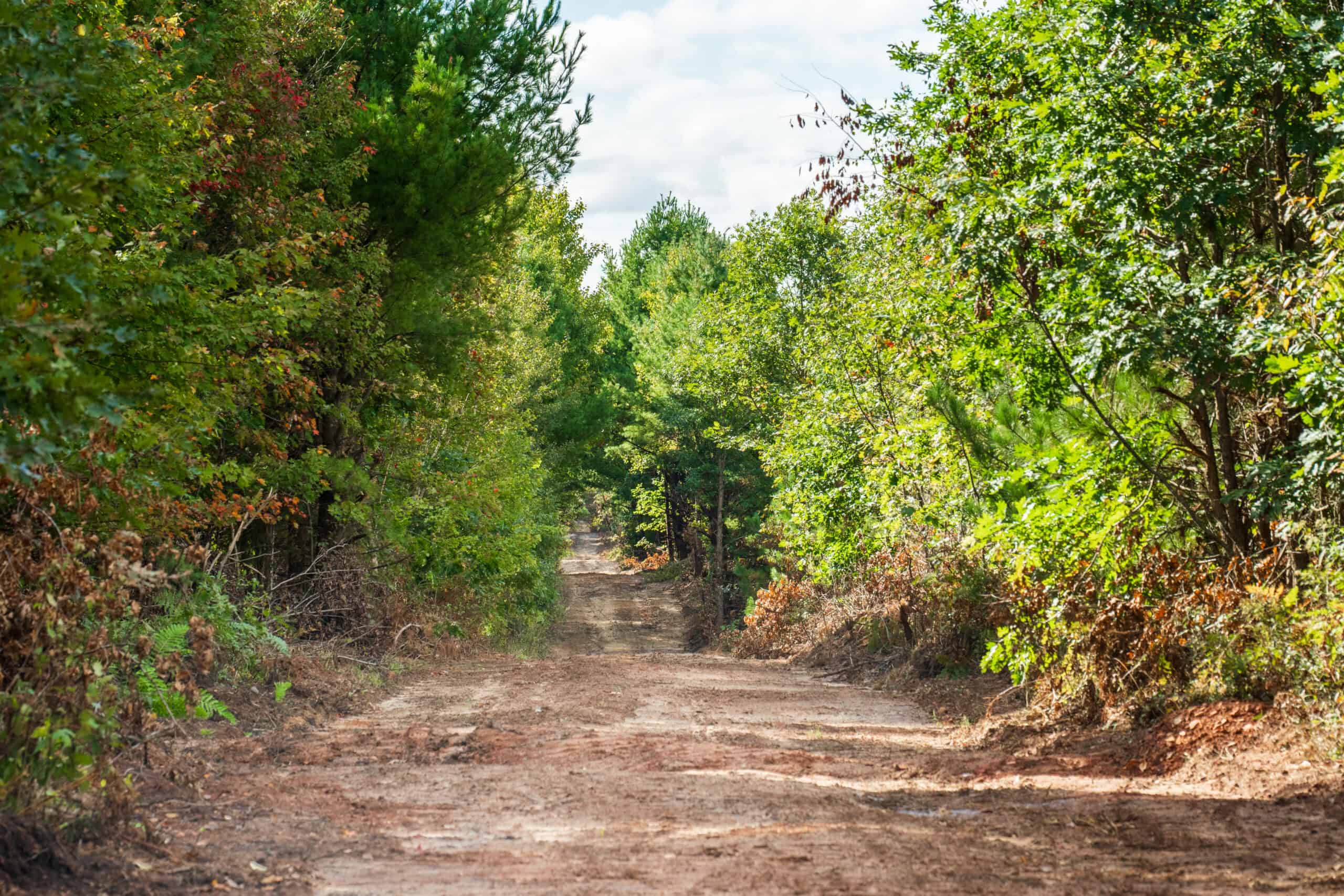 369± acres of premier recreational and hunting land in Eau Claire County