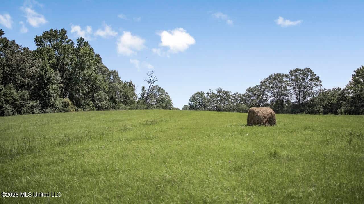 52± Acre Luxury Country Estate in Magnolia, MS