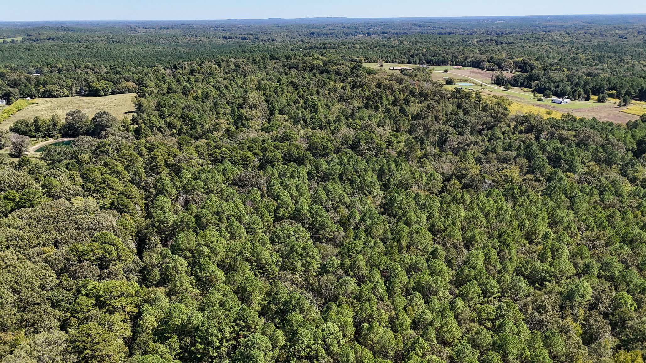East Texas Recreational Land for Sale Gilmer TX Upshur County | Hunt & Timber