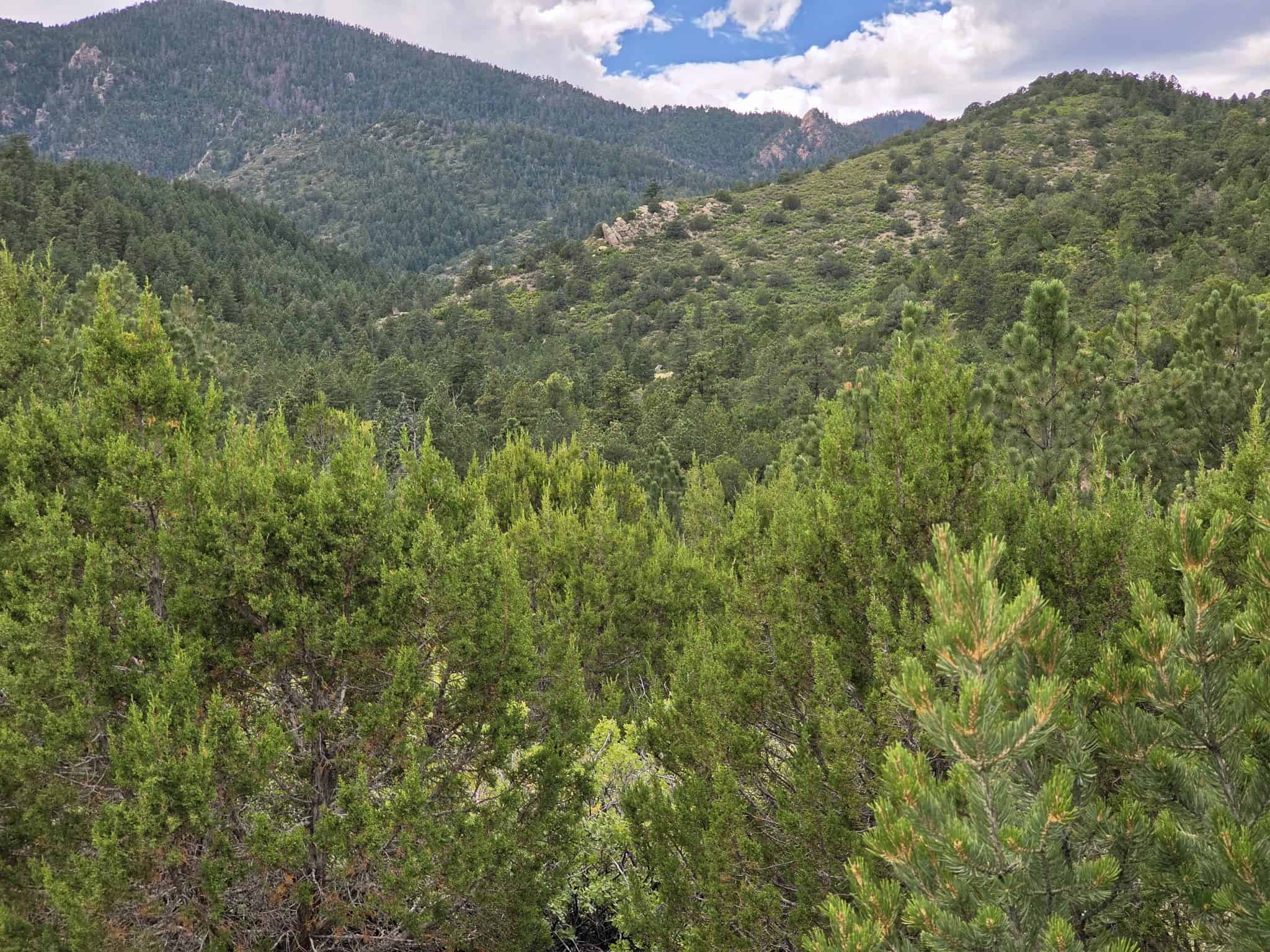 170.68 ± Acre Hunting Ranch by National Forest | Florence, CO