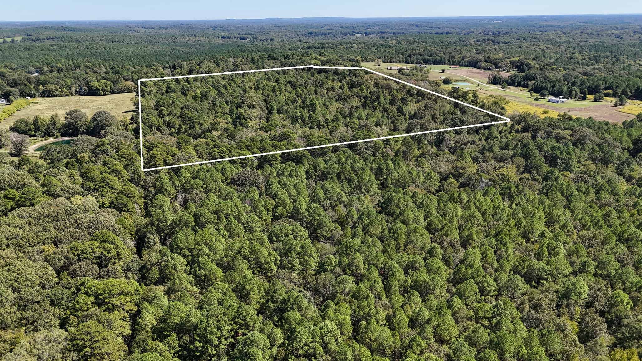 East Texas Recreational Land for Sale Gilmer TX Upshur County | Hunt & Timber