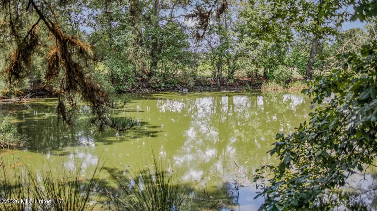 52± Acre Luxury Country Estate in Magnolia, MS