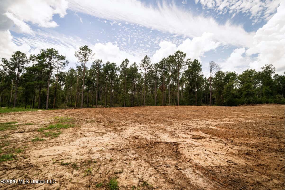 900 Acres for Sale – Hunter’s Paradise South Mississippi
