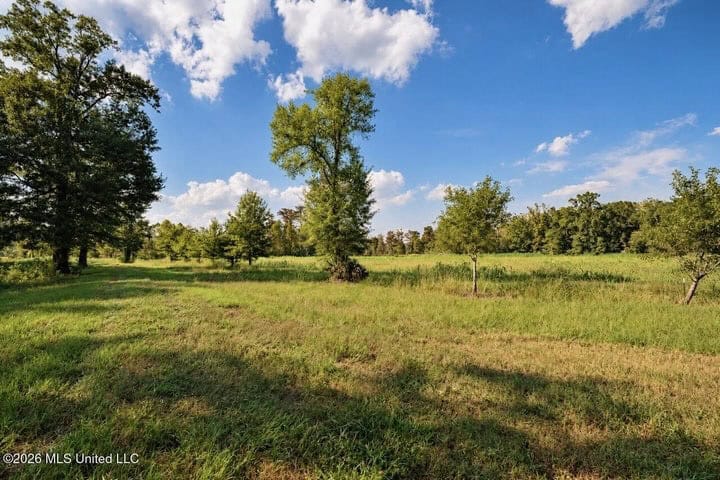 1979± Acre Hunting Plantation in White Castle, LA