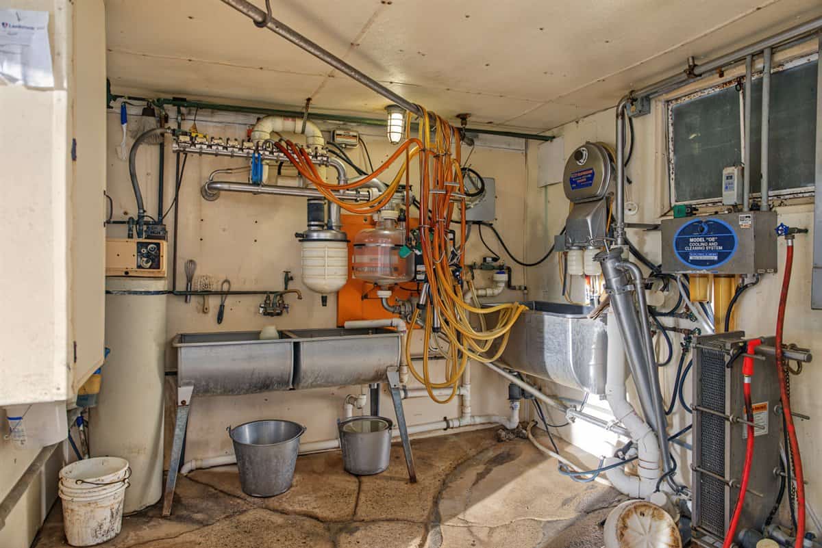 288± Acre Farm, Hunting & Black River Property | Melrose, Jackson County, WI
