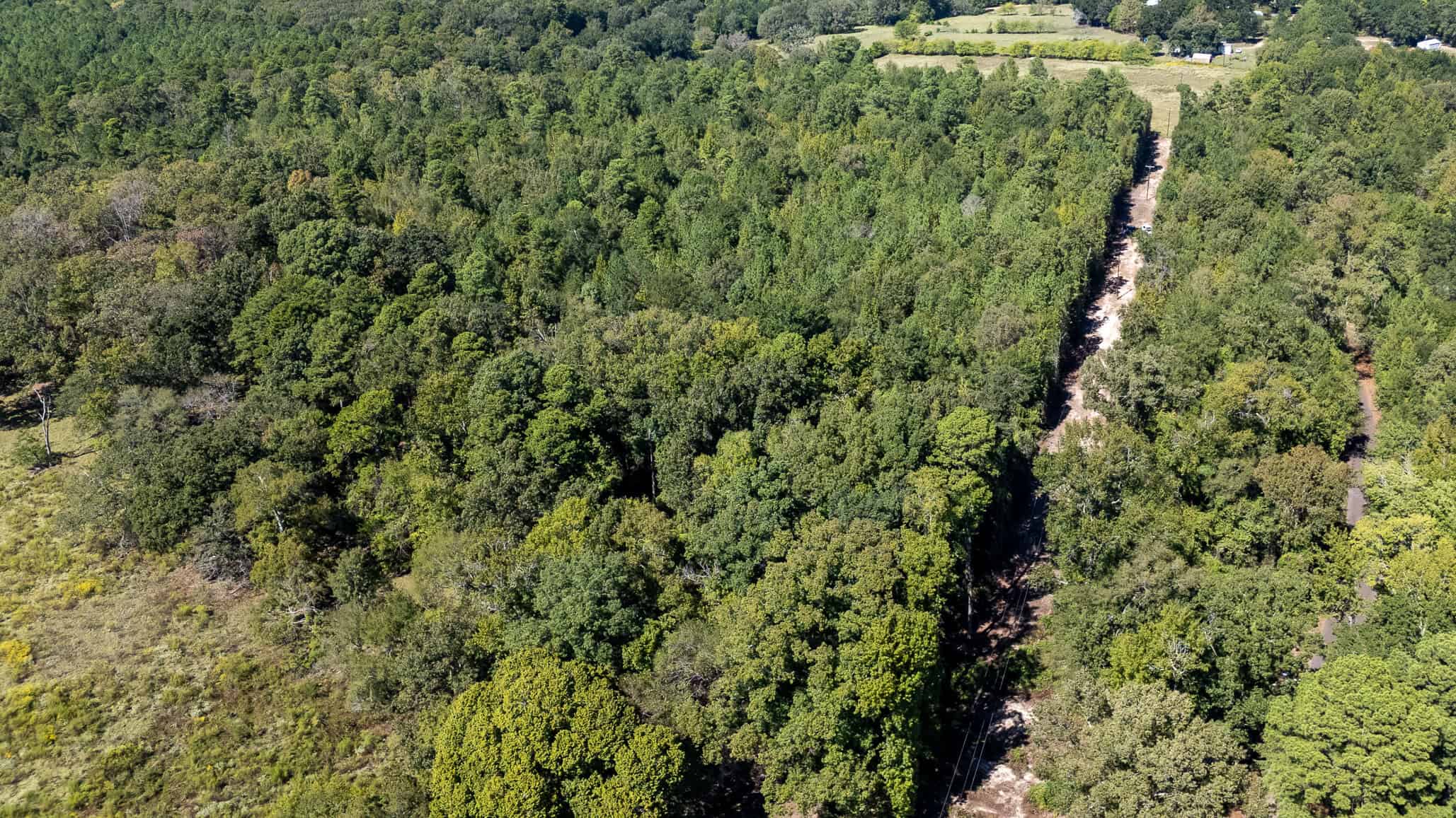 East Texas Recreational Land for Sale Gilmer TX Upshur County | Hunt & Timber
