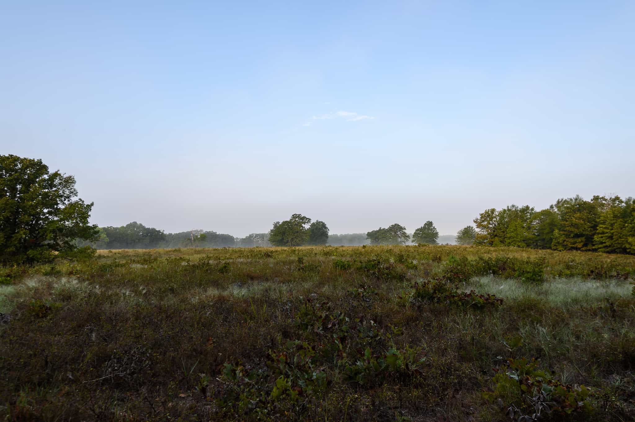 126-Acre Recreational Ranch for Sale in Mineola Texas Wood County