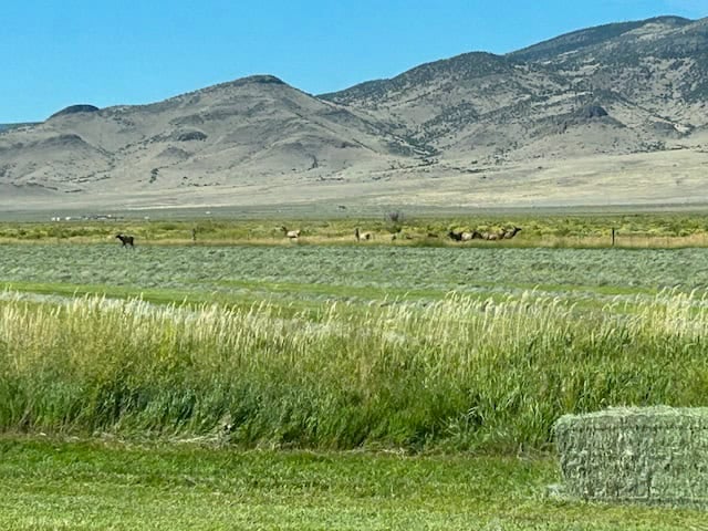 1,280± Acre Hay Ranch for Sale Near Saguache, CO