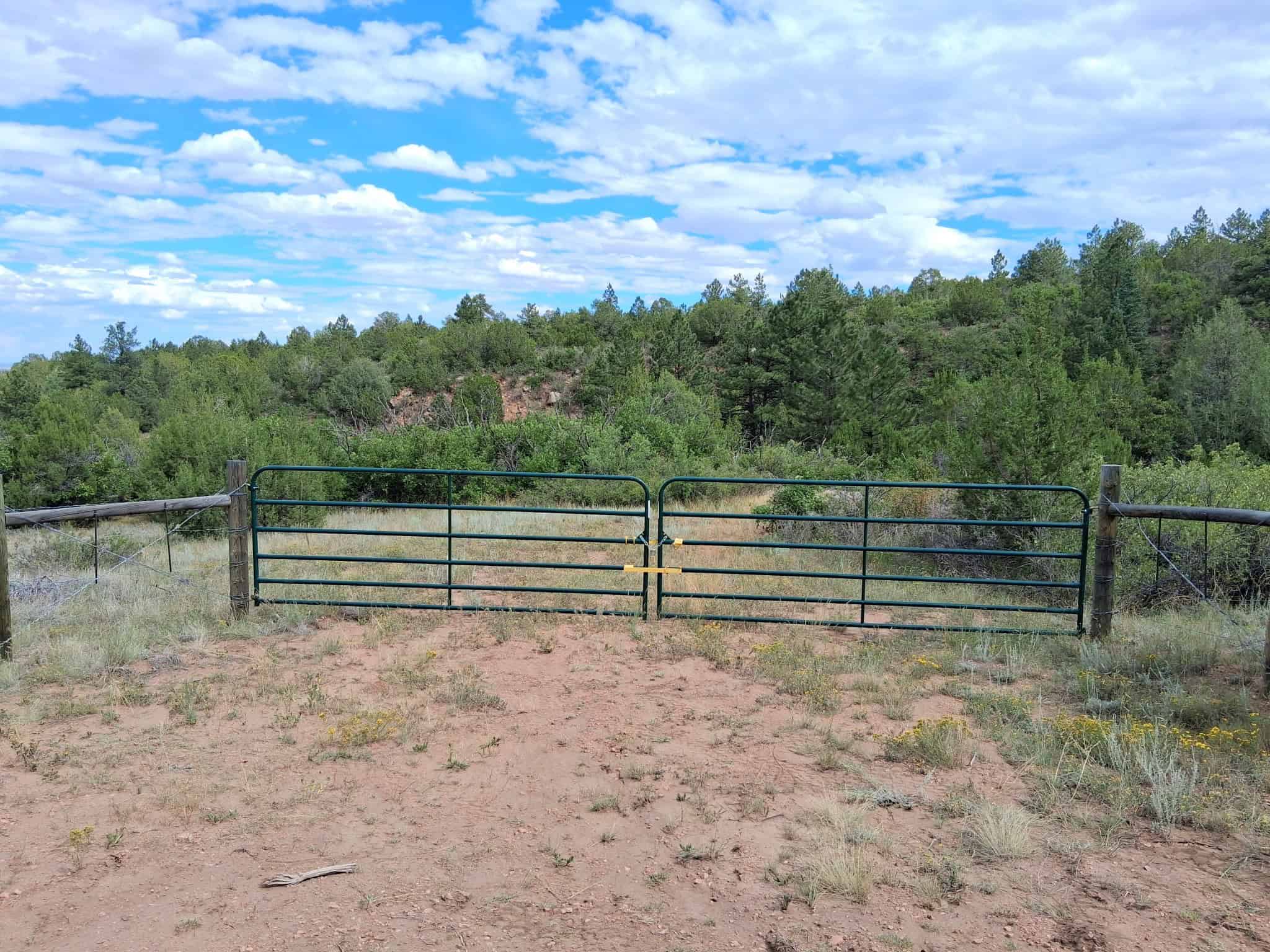 170.68 ± Acre Hunting Ranch by National Forest | Florence, CO