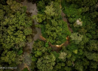 900 Acres for Sale – Hunter’s Paradise South Mississippi