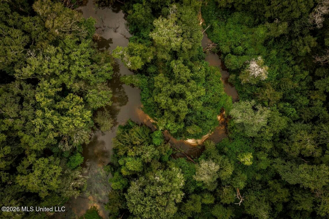 900 Acres for Sale – Hunter’s Paradise South Mississippi