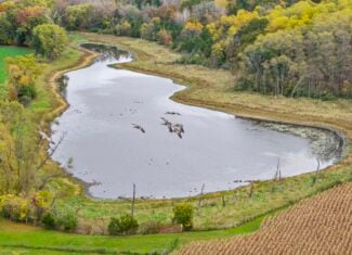 LIVE & ONLINE REAL ESTATE AUCTION – 50.82± Acres with 7-Acre Lake, Home & Outbuildings