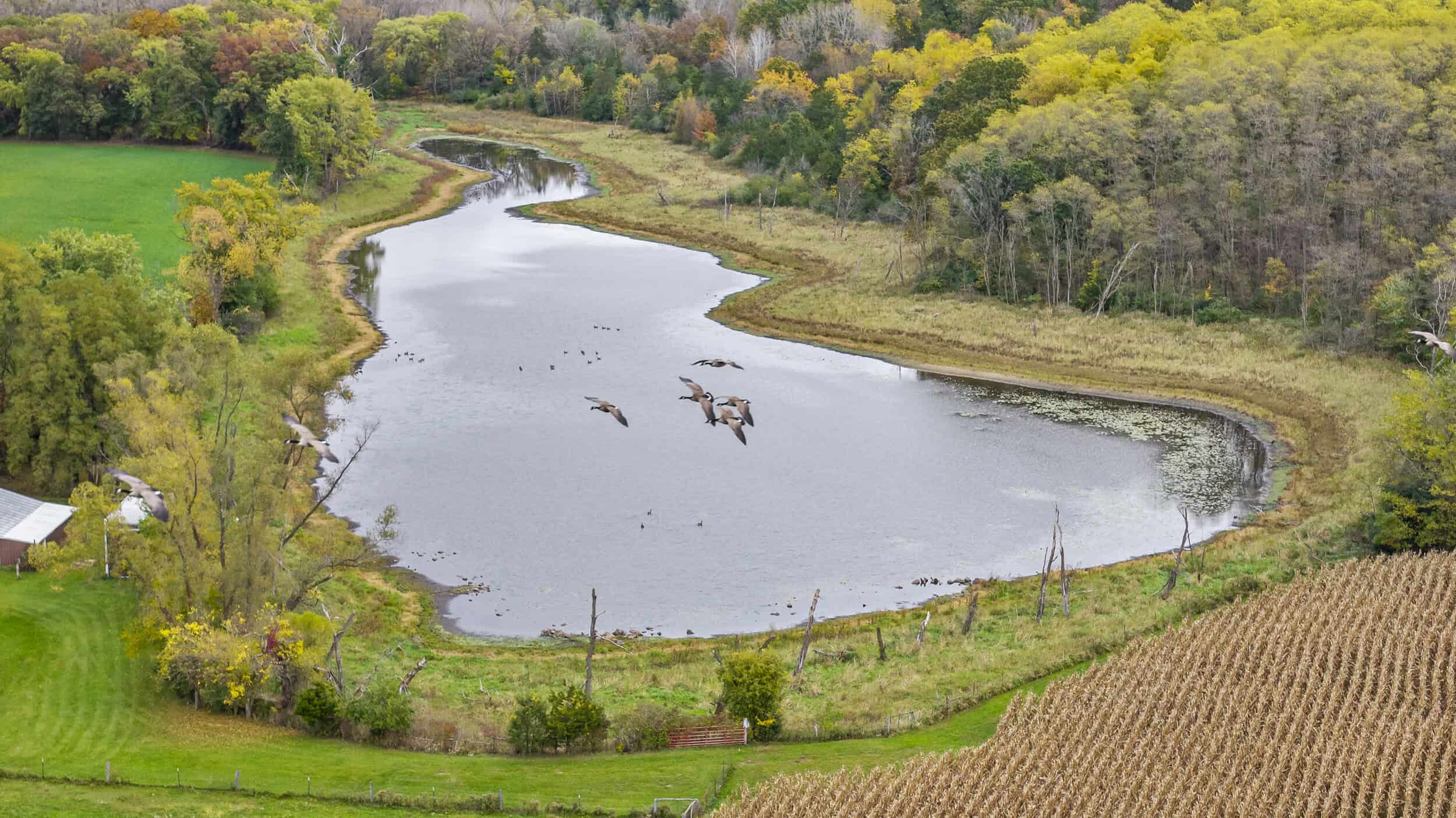 LIVE & ONLINE REAL ESTATE AUCTION – 50.82± Acres with 7-Acre Lake, Home & Outbuildings