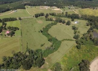 23± Acre Homesite & Pasture in Amite County, MS
