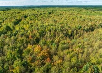 204.74± acres of premier recreational and hunting land in Eau Claire County