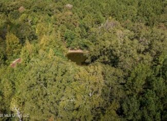 19.7+/- Acres of Wooded Land for Sale in Magnolia, MS