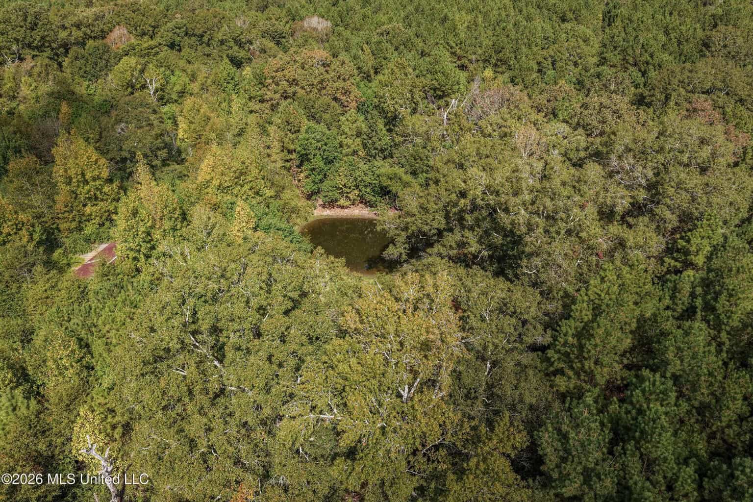 19.7+/- Acres of Wooded Land for Sale in Magnolia, MS
