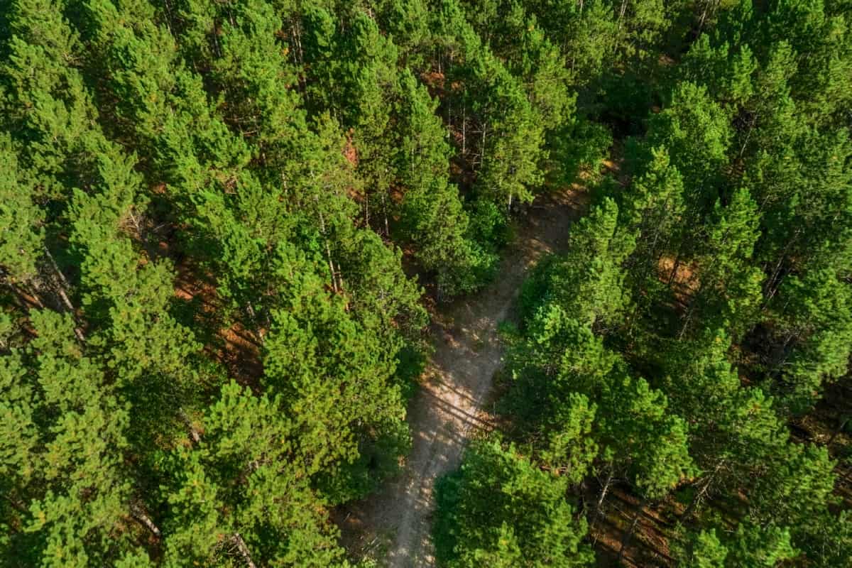 200± acres of Western Wisconsin recreational country Eau Claire Cty