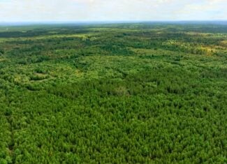 84± acres of heavily timbered recreational and hunting land in Eau Claire County
